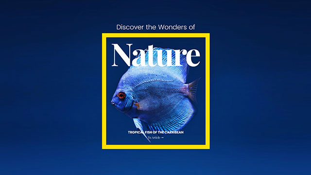 nature template - Nature Explorer Slider